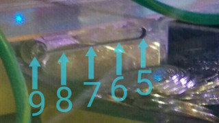 15350981013671.jpg