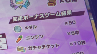 2603281459259802.JPG