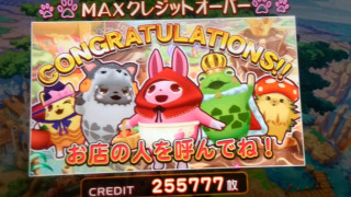 IMG20170711120539.jpg