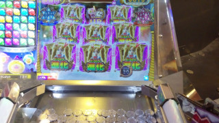 IMG20180302145644.jpg