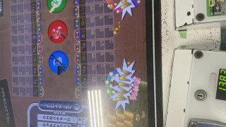 IMG2733.jpeg