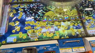 IMG4808.jpeg