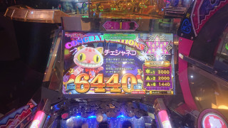 DSC0122.JPG