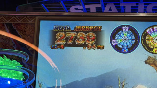 IMG3125.jpeg
