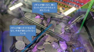 20260113AnimalYOKOANA2.jpg