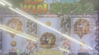 IMG3757.jpeg