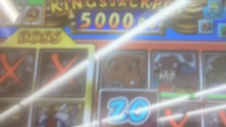 IMG3836.jpeg