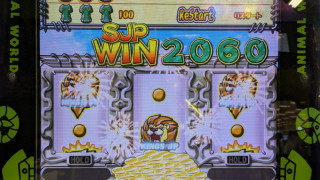 20260425AnimalKJP.jpg