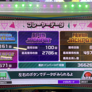 IMG6234.jpeg