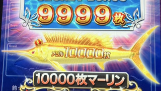 17507351638222.jpg